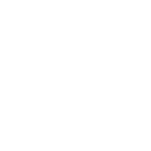 Momentum Pixel Studio